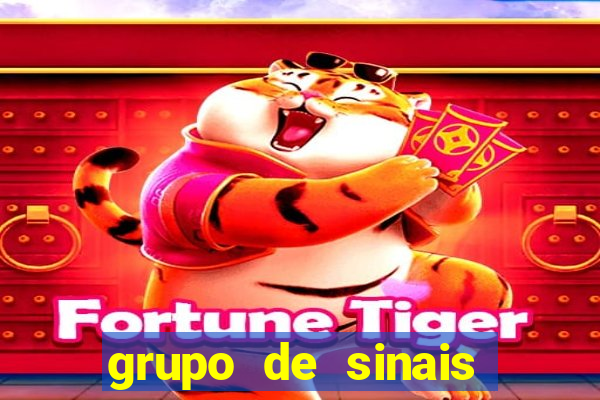 grupo de sinais fortune rabbit